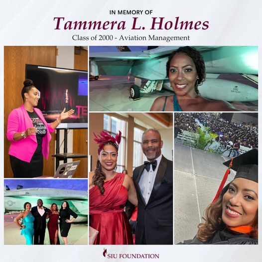 Tammera l. Holmes Obituary Chicago Illinois, President & CEO At AeroStar Consulting Corporation Has Died